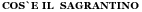 About Sagrantino - Sagrantino Travel